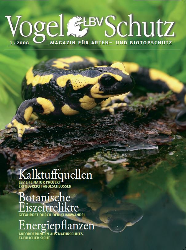 Archiv Des Mitgliedermagazins Vogelschutz Lbv Gemeinsam Bayerns Natur Sch Tzen